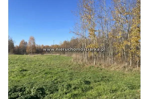 wodzisławski, Godów, Działka usługowa 38 arów