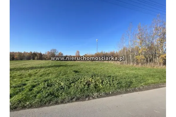 wodzisławski, Godów, Działka usługowa 38 arów