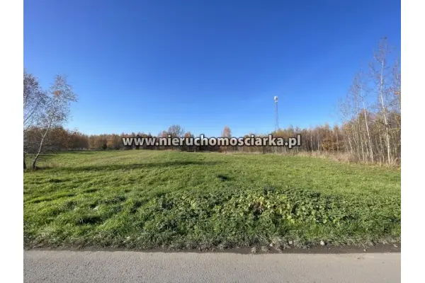 wodzisławski, Godów, Działka usługowa 38 arów