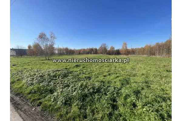 wodzisławski, Godów, Działka usługowa 38 arów