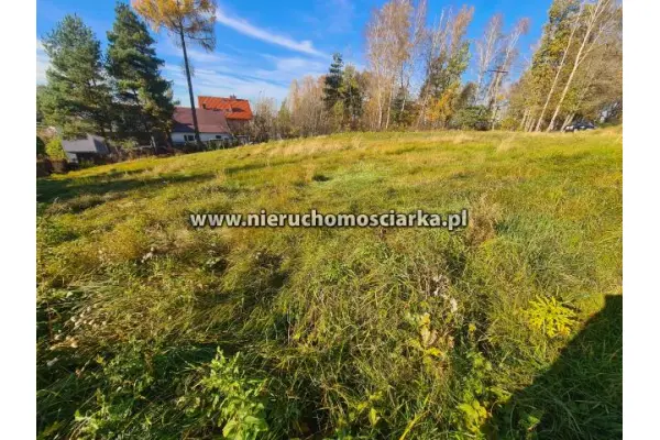 śląskie, wodzisławski, Wodzisław Śląski, Działki budowlane - Wodzisław Śląski - Marusze