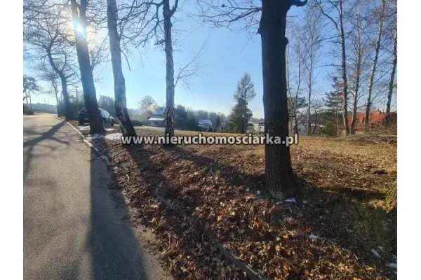 wodzisławski, Wodzisław Śląski, Działki budowlane - Wodzisław Śląski - Marusze