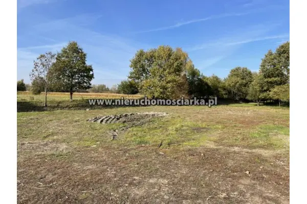 śląskie, wodzisławski, Gorzyce, Bluszczów, Działka budowlano-rolna 17 arów Bluszczów