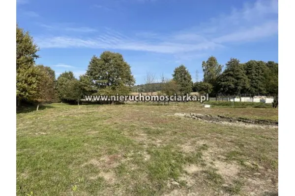 wodzisławski, Gorzyce, Bluszczów, Działka budowlano-rolna 17 arów Bluszczów