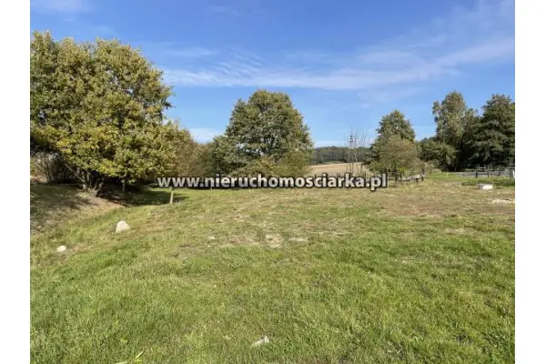 wodzisławski, Gorzyce, Bluszczów, Działka budowlano-rolna 17 arów Bluszczów