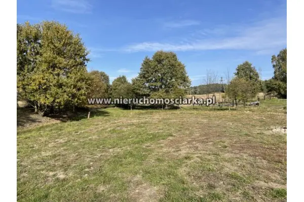 wodzisławski, Gorzyce, Bluszczów, Działka budowlano-rolna 17 arów Bluszczów