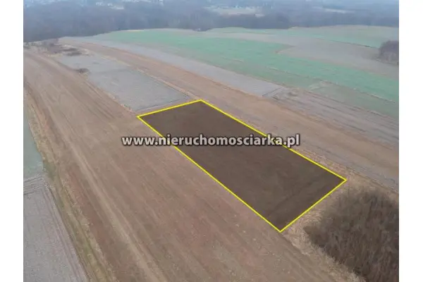 wodzisławski, Wodzisław Śląski, Działka rolna Wodzisław Śląski/Radlin