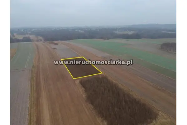 wodzisławski, Wodzisław Śląski, Działka rolna Wodzisław Śląski/Radlin