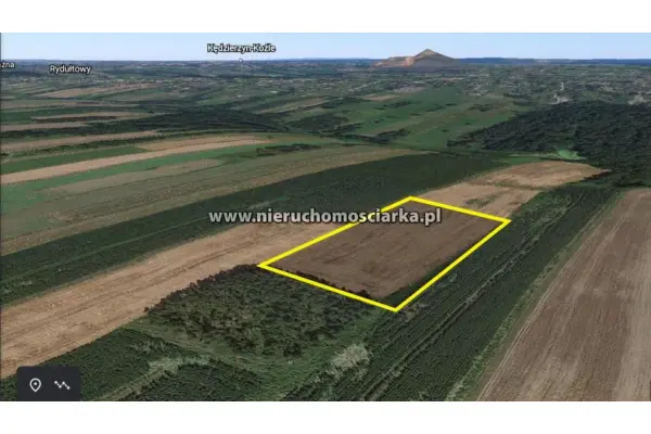 wodzisławski, Wodzisław Śląski, Działka rolna Wodzisław Śląski/Radlin