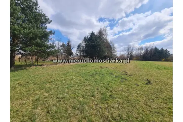 wodzisławski, Gorzyce, Turza Śląska, Działka budowlana Turza Śl. ul Kolejowa