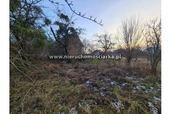 raciborski, Kuźnia Raciborska, Turze, Działka budowlana Turze