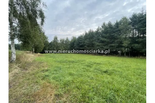 śląskie, wodzisławski, Wodzisław Śląski, Duża działka budowlana 32 ary Wodzisław Śląski