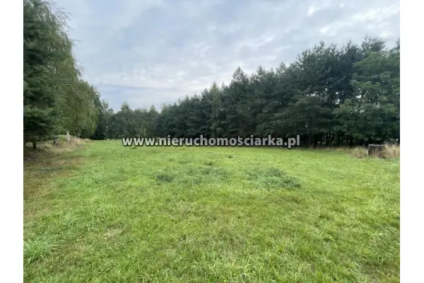 wodzisławski, Wodzisław Śląski, Duża działka budowlana 32 ary Wodzisław Śląski