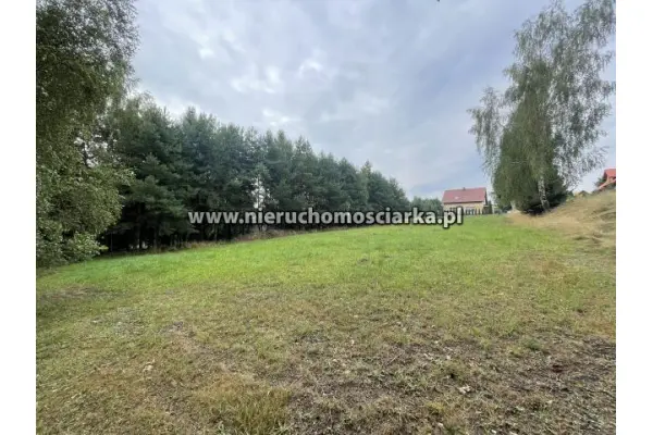 wodzisławski, Wodzisław Śląski, Duża działka budowlana 32 ary Wodzisław Śląski