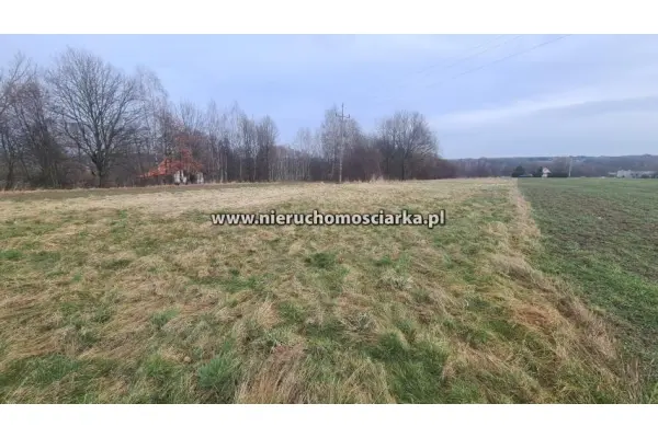 wodzisławski, Gorzyce, Czyżowice, Działka budowlana - Czyżowice