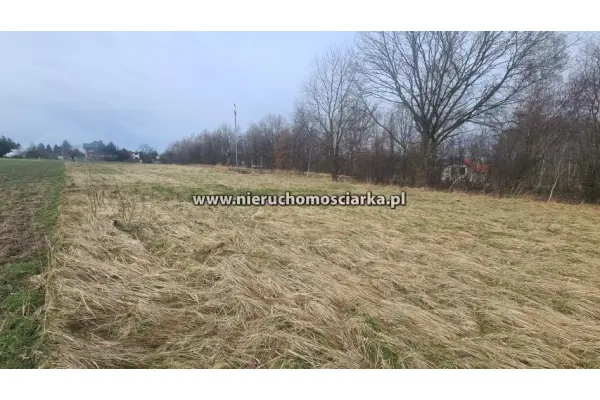 wodzisławski, Gorzyce, Czyżowice, Działka budowlana - Czyżowice