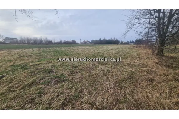 wodzisławski, Gorzyce, Czyżowice, Działka budowlana - Czyżowice