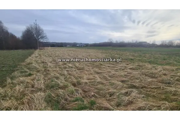 wodzisławski, Gorzyce, Czyżowice, Działka budowlana - Czyżowice