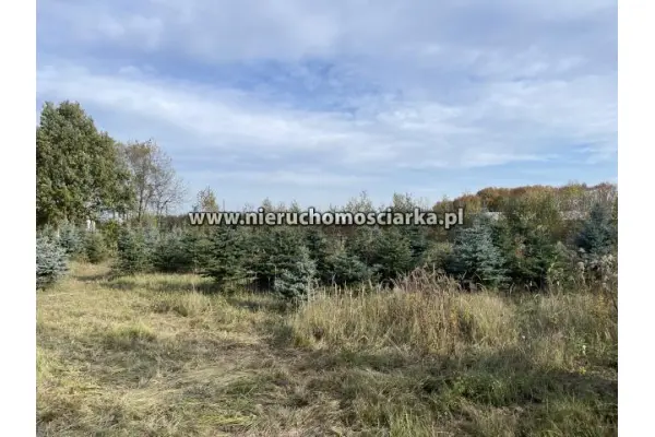 śląskie, wodzisławski, Gorzyce, Turza Śląska, Działka 1200 m2 wyjątkowa okolica Turza Śląska