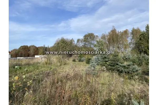 wodzisławski, Gorzyce, Turza Śląska, Działka 1200 m2 wyjątkowa okolica Turza Śląska