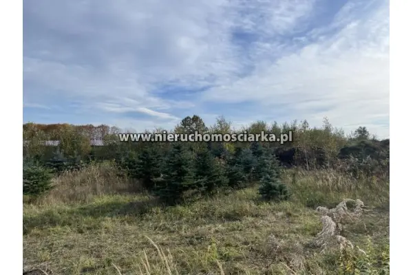 wodzisławski, Gorzyce, Turza Śląska, Działka 1200 m2 wyjątkowa okolica Turza Śląska