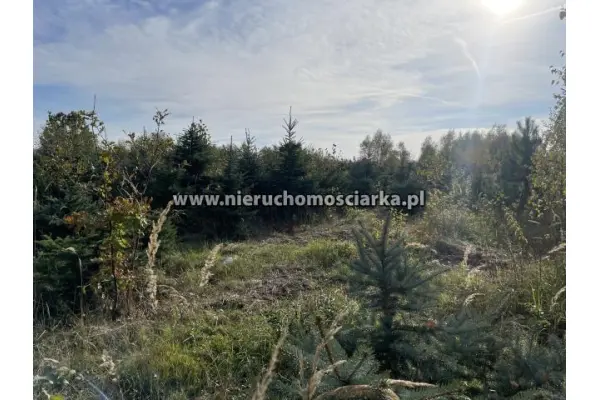 wodzisławski, Gorzyce, Turza Śląska, Działka 1200 m2 wyjątkowa okolica Turza Śląska