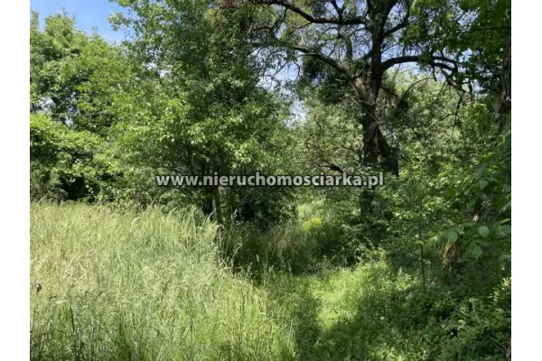 wodzisławski, Wodzisław Śląski, Działka budowlana 13 arów Kokoszyce ul. Smolna