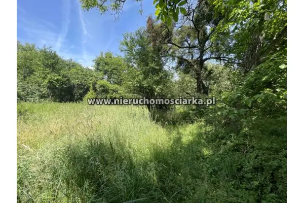 wodzisławski, Wodzisław Śląski, Działka budowlana 13 arów Kokoszyce ul. Smolna