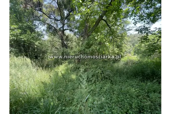 wodzisławski, Wodzisław Śląski, Działka budowlana 13 arów Kokoszyce ul. Smolna