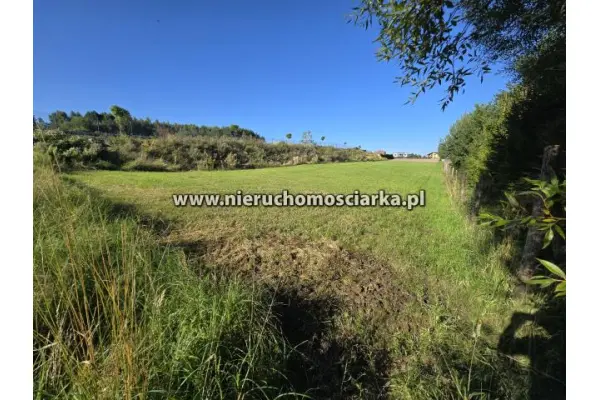 wodzisławski, Gorzyce, Turza Śląska, Działka budowlana - Turza Śląska