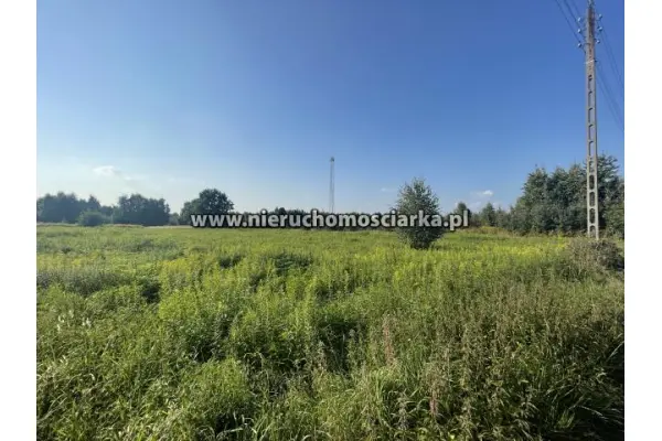 wodzisławski, Godów, Działka usługowa 38 arów Godów