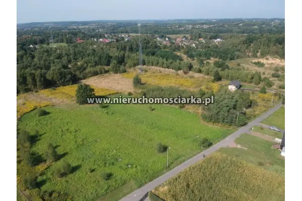 wodzisławski, Godów, Działka usługowa 38 arów Godów