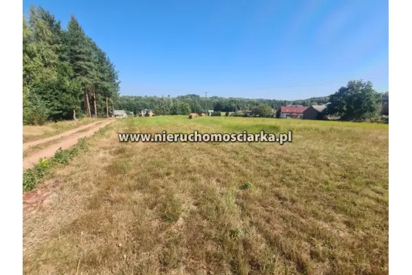 śląskie, wodzisławski, Wodzisław Śląski, Cztery działki budowlane Wodzisław ul.Skrzyszowska