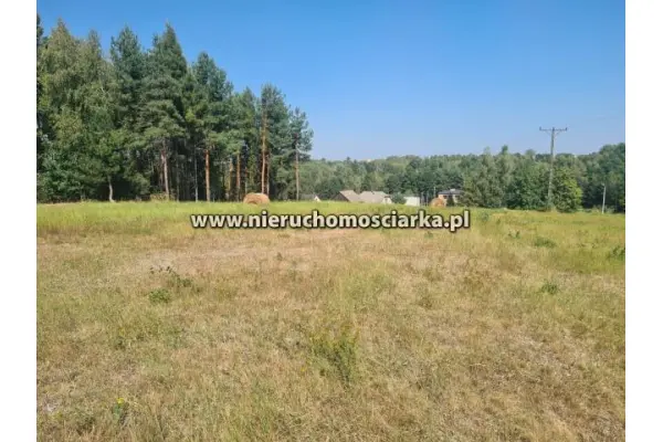 wodzisławski, Wodzisław Śląski, Cztery działki budowlane Wodzisław ul.Skrzyszowska