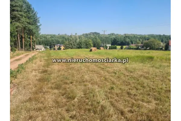 wodzisławski, Wodzisław Śląski, Cztery działki budowlane Wodzisław ul.Skrzyszowska