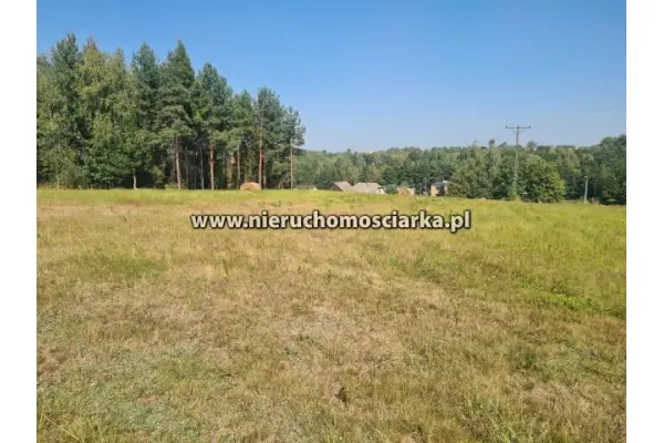 wodzisławski, Wodzisław Śląski, Cztery działki budowlane Wodzisław ul.Skrzyszowska