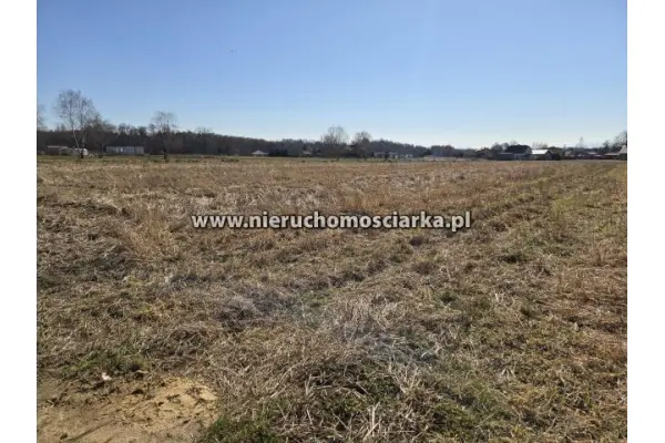 wodzisławski, Godów, Gołkowice, Działki budowlane z widokiem na góry - Gołkowice Boczna