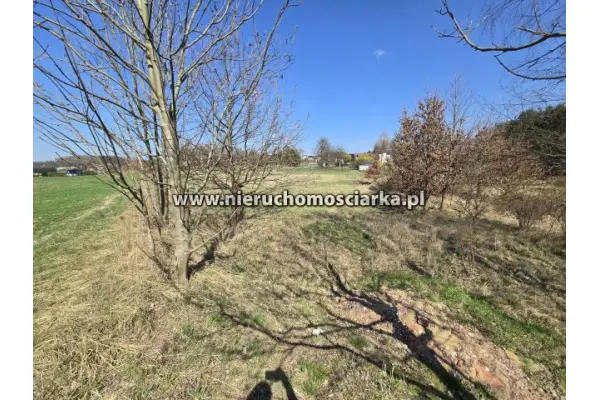 wodzisławski, Godów, Krostoszowice, Działka usługowo-budowlana