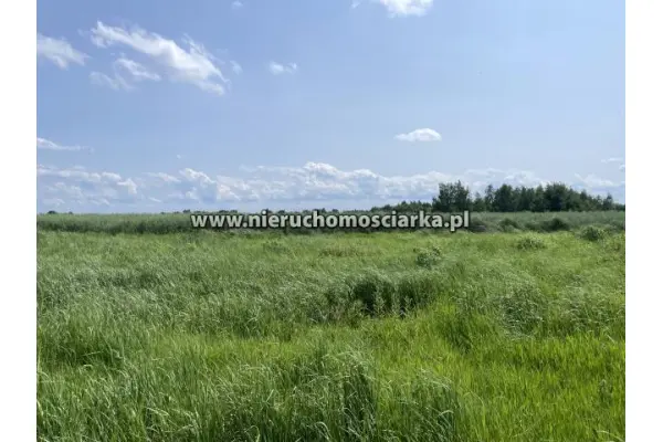 wodzisławski, Wodzisław Śląski, Działki budowlane Wodzisław Śląski