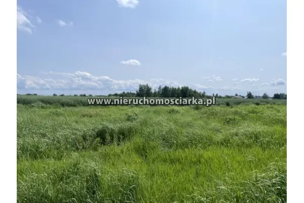 wodzisławski, Wodzisław Śląski, Działki budowlane Wodzisław Śląski