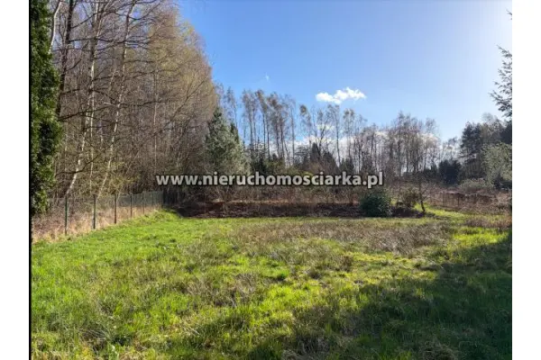 wodzisławski, Wodzisław Śląski, Działka budowlano-rolna Wodzisław 1,5km od centrum
