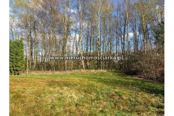wodzisławski, Wodzisław Śląski, Działka budowlano-rolna Wodzisław 1,5km od centrum