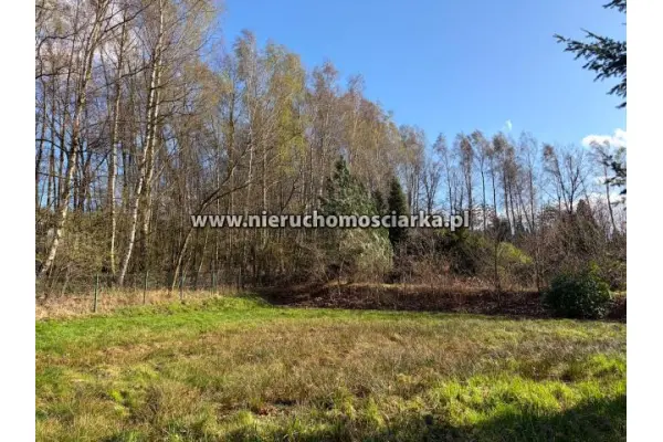 wodzisławski, Wodzisław Śląski, Działka budowlano-rolna Wodzisław 1,5km od centrum