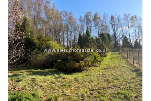 wodzisławski, Wodzisław Śląski, Działka budowlano-rolna Wodzisław 1,5km od centrum
