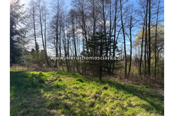 wodzisławski, Wodzisław Śląski, Działka budowlano-rolna Wodzisław 1,5km od centrum