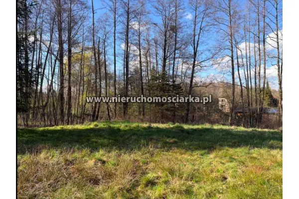 wodzisławski, Wodzisław Śląski, Działka budowlano-rolna Wodzisław 1,5km od centrum