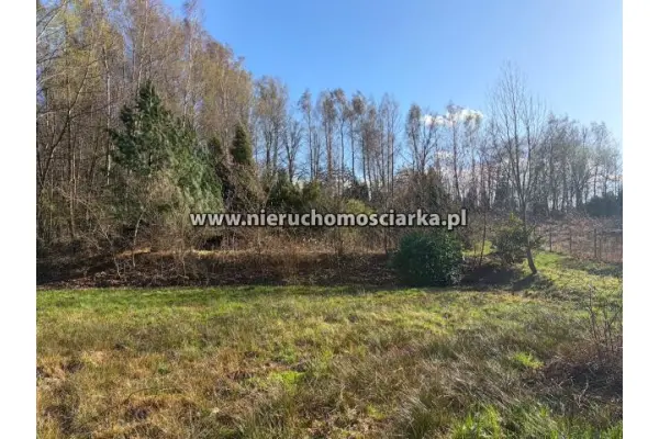 wodzisławski, Wodzisław Śląski, Działka budowlano-rolna Wodzisław 1,5km od centrum
