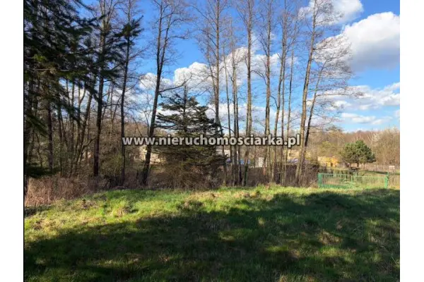 wodzisławski, Wodzisław Śląski, Działka budowlano-rolna Wodzisław 1,5km od centrum