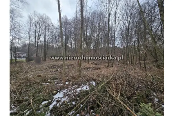 wodzisławski, Wodzisław Śląski, Działka budowlano-zielona, las, strumyk Chrobrego