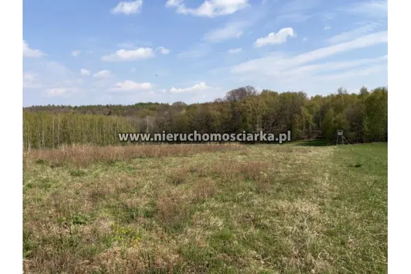 wodzisławski, Lubomia, Działka rolna przy lesie Lubomia ul. Polna